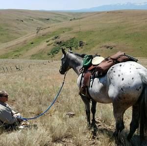 Meet your Posher, Lori
